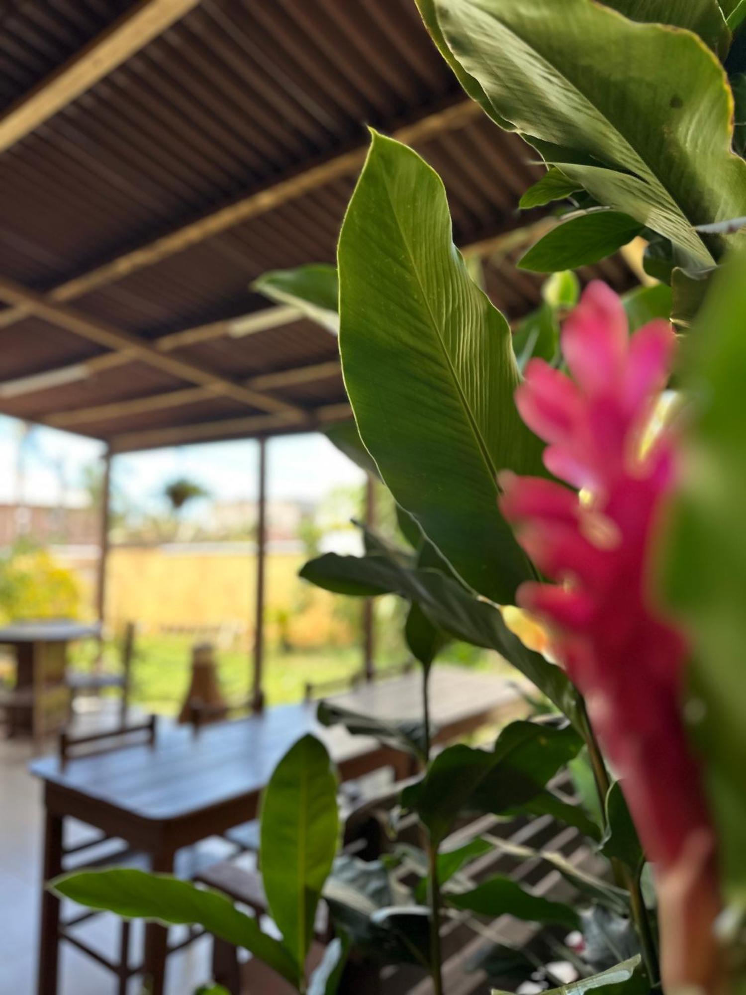 Suites Do Pero Cabo Frio Eksteriør bilde